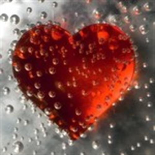 hosein&nbsp;ghanbarpour